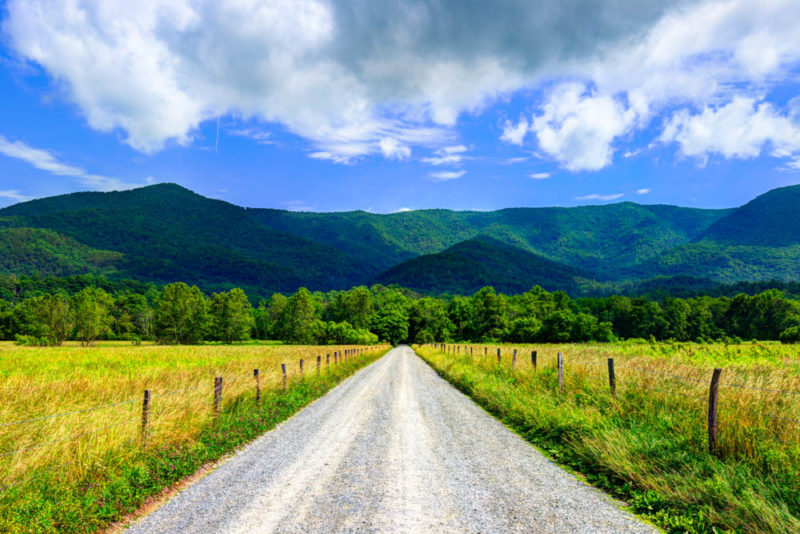 Fun Things to do in Knoxville: Hike Cades Cove Loop in Great Smokey Mountains National Park