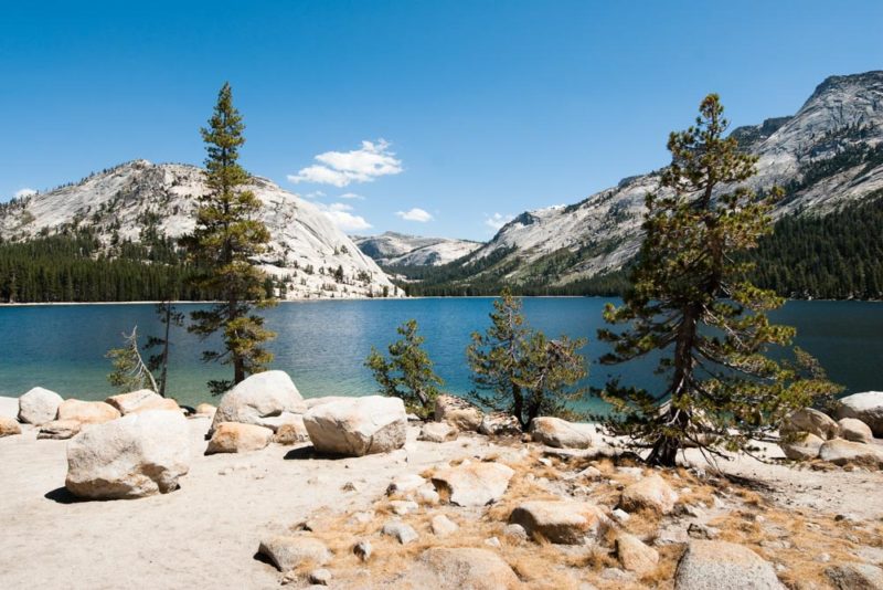 Fun Things to do in Yosemite National Park: Tenaya Lake