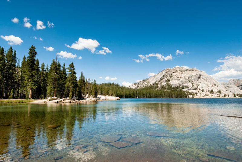 Must do things in Yosemite National Park: Tenaya Lake