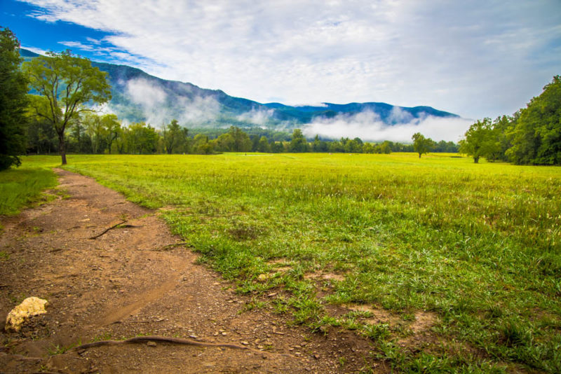 Unique Things to do in Knoxville: Hike Cades Cove Loop in Great Smokey Mountains National Park