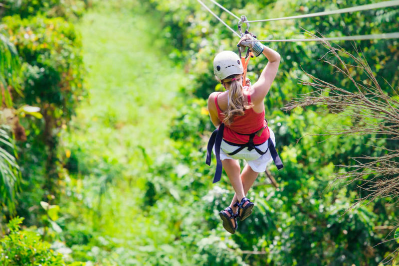 Unique Things to do in Nashville: Zipline through an Old-Growth Forest