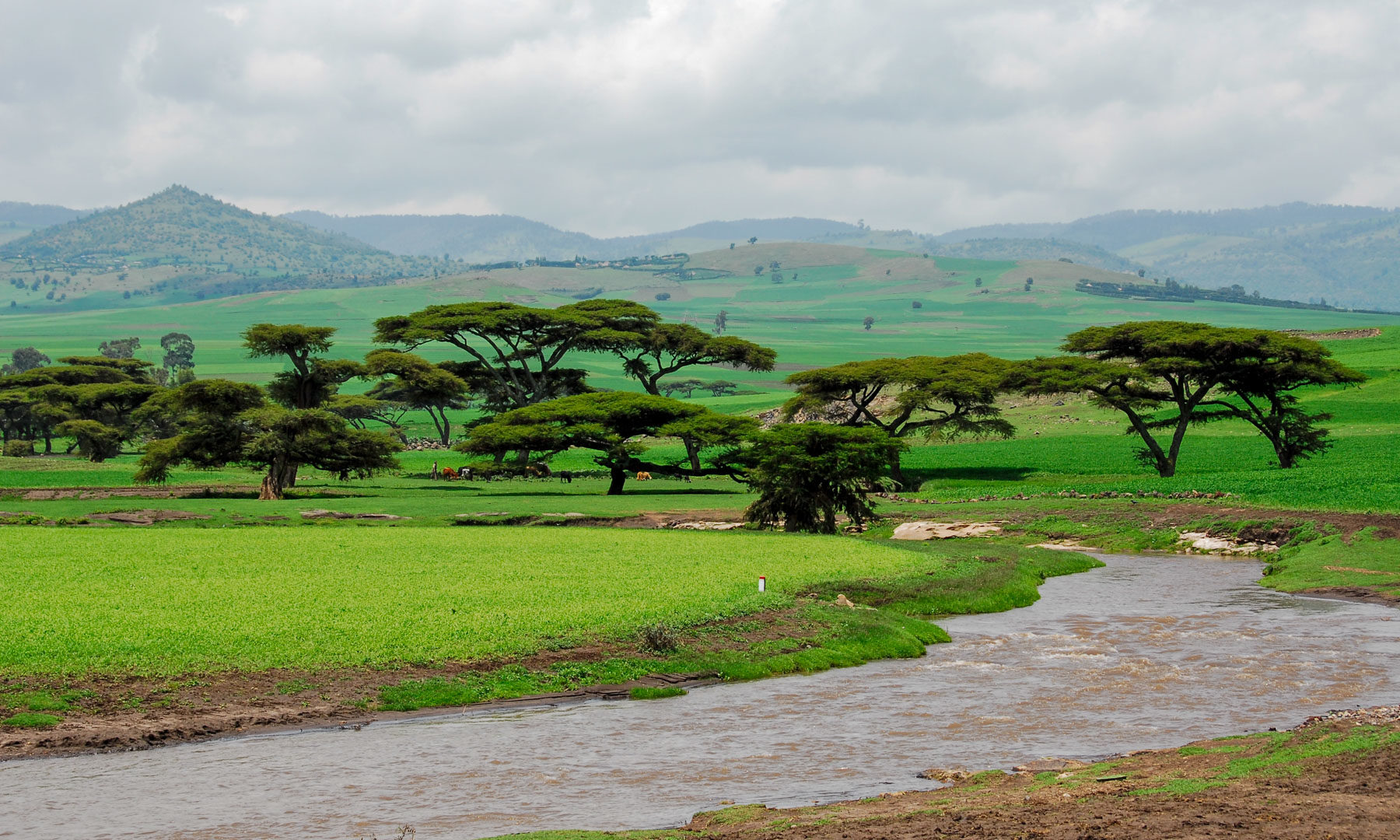 Visit Ethiopia: A Complete Travel Guide