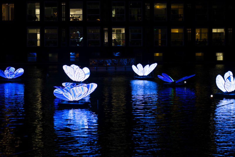 What to do in Amsterdam: Amsterdam Light Festival