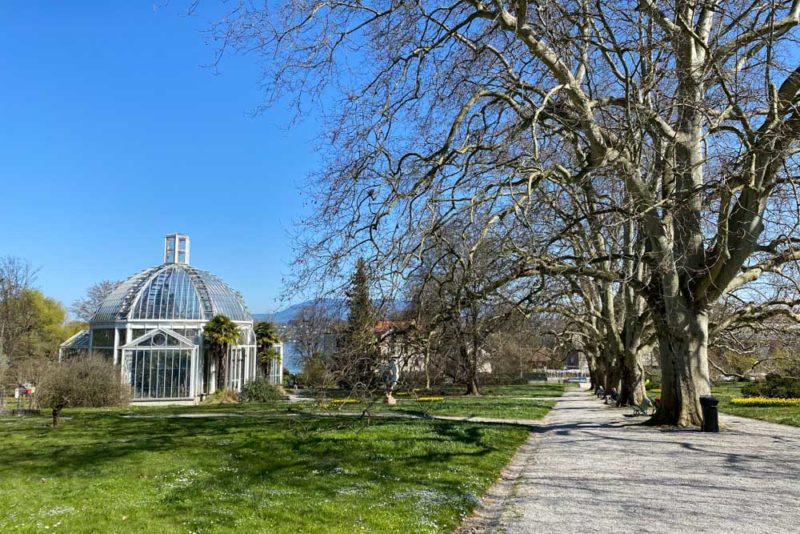 What to do in Geneva: Geneva Botanical Gardens