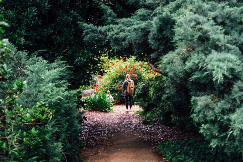 What to do in Knoxville: Knoxville Botanical Garden and Arboretum