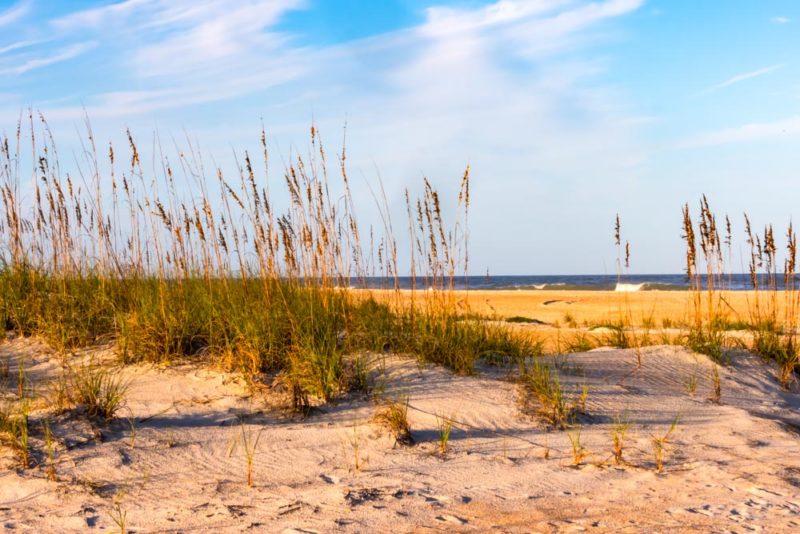 What to do in St. Augustine: Anastasia State Park