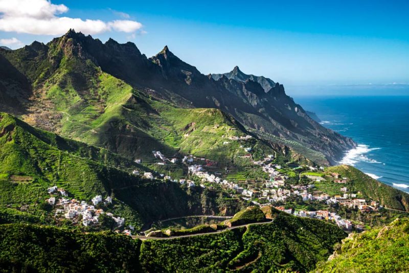 What to do in Tenerife: Hike through a Lush Forest in Anaga