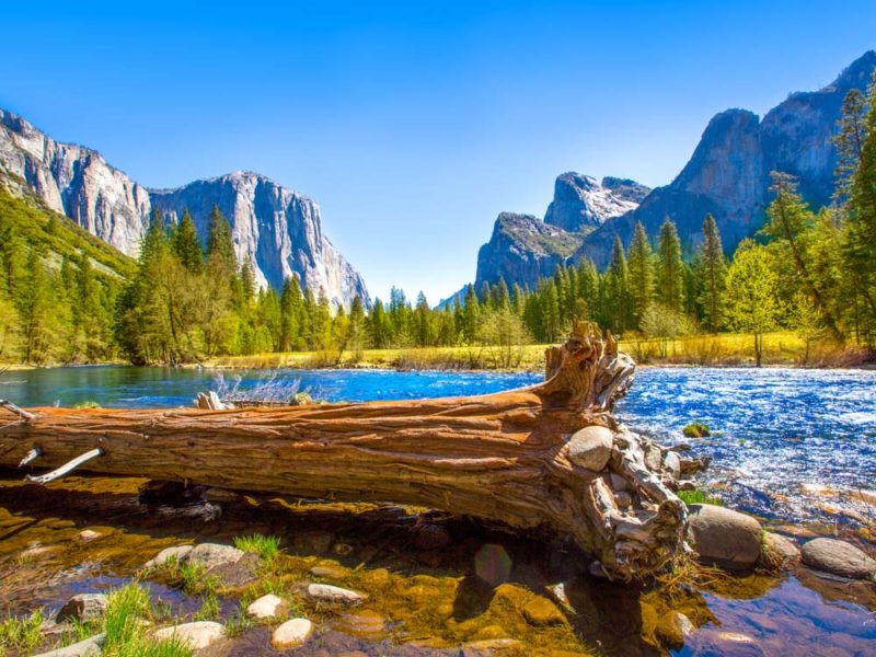 Where to Stay near Yosemite National Park: Best Hotels