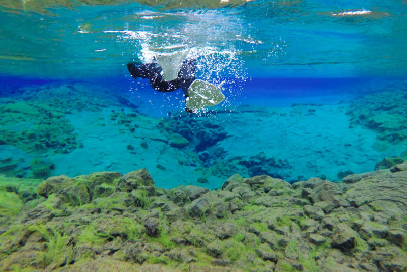 Best Things to do in Iceland: Snorkel Between Tectonic Plates