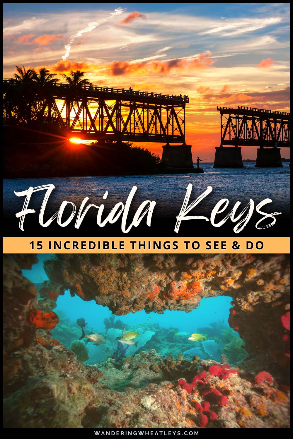 Best Things to do in the Florida Keys
