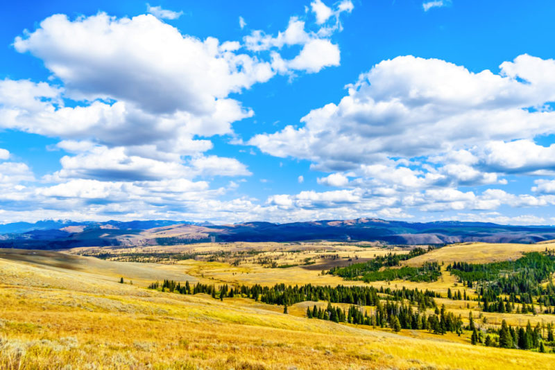 Best Things to do in Yellowstone National Park: Scenic Drive Along Yellowstone Grand Loop Road