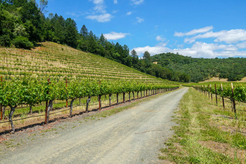 Cool Things to do in Napa Valley: Wine Country Scenery on a Bike Ride