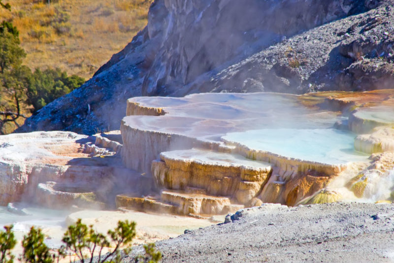 Cool Things to do in Yellowstone National Park: Mammoth Hot Springs