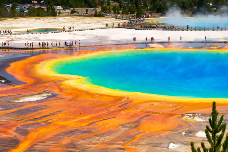 Cool Things to do in Yellowstone National Park: Rainbow-Colored Grand Prismatic Spring