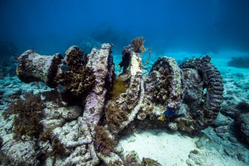 Florida Keys Bucket List: Scuba Diving in the Country’s First Undersea Park
