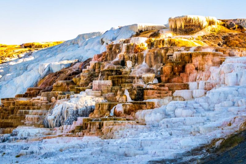 Fun Things to do in Yellowstone National Park: Mammoth Hot Springs