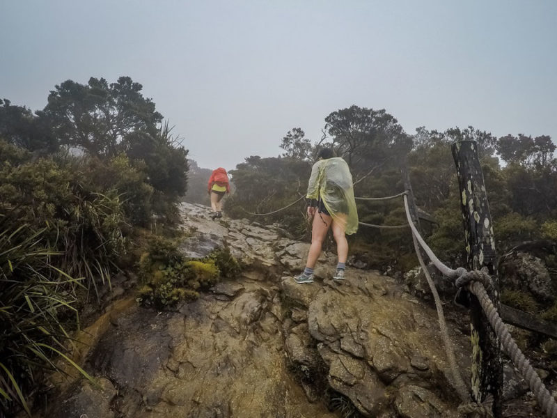 Hiking Mount Kinabalu: Through the Rain