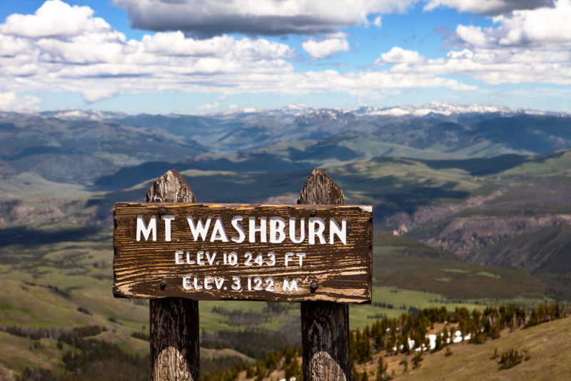 Must do things in Yellowstone National Park: Hike to the Top of Mount Washburn