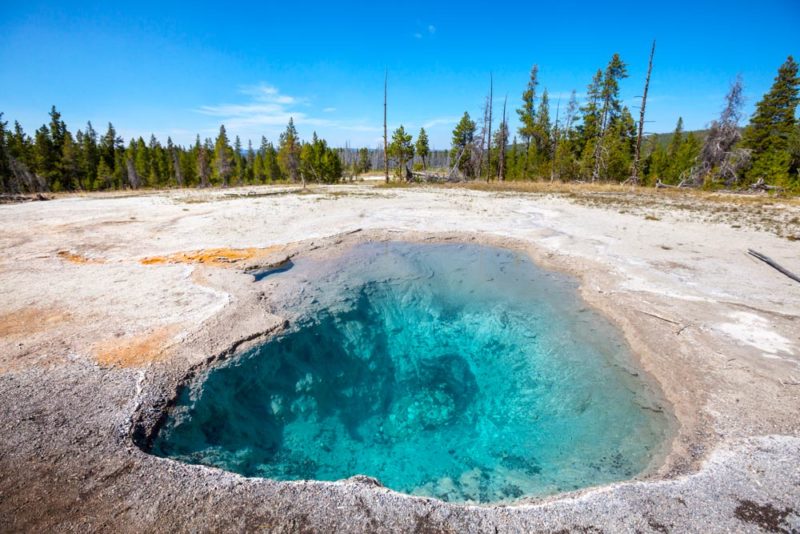 Must do things in Yellowstone National Park: West Thumb Geyser Basin