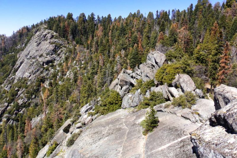 Sequoia National Park Things to do: Picnic at Beetle Rock
