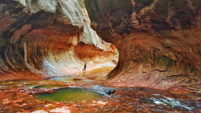 Top 10 National Parks in USA: Zion Subwayhike