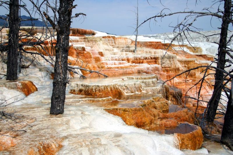 Unique Things to do in Yellowstone National Park: Mammoth Hot Springs