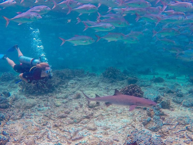 Visit Sabah: Scuba Diving