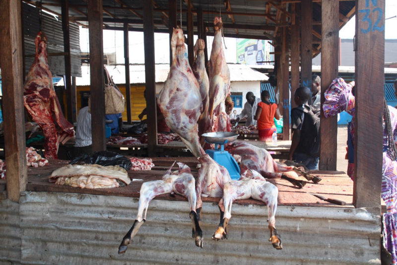 Visit Virunga National Park: Meat Market