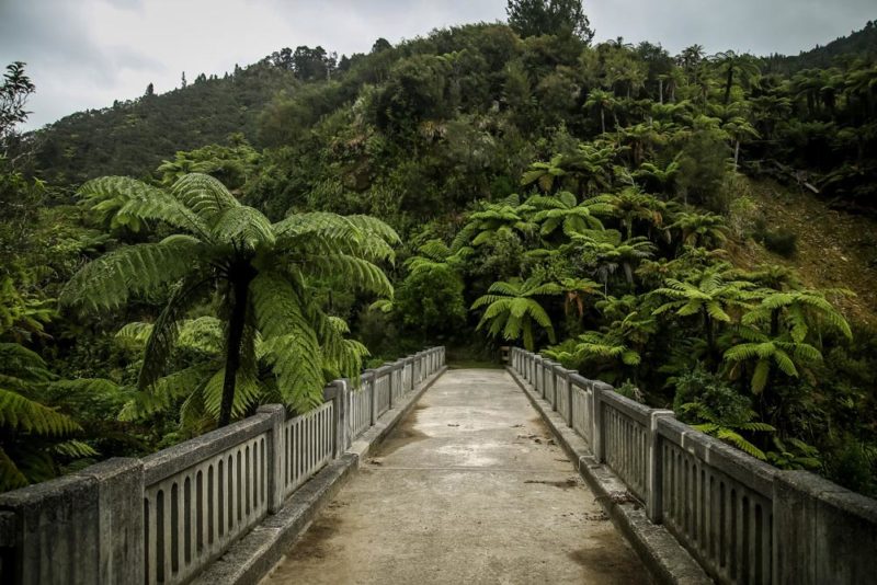 Whanganui Journey: Bridge