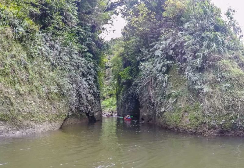 Whanganui Journey: Side Gorge