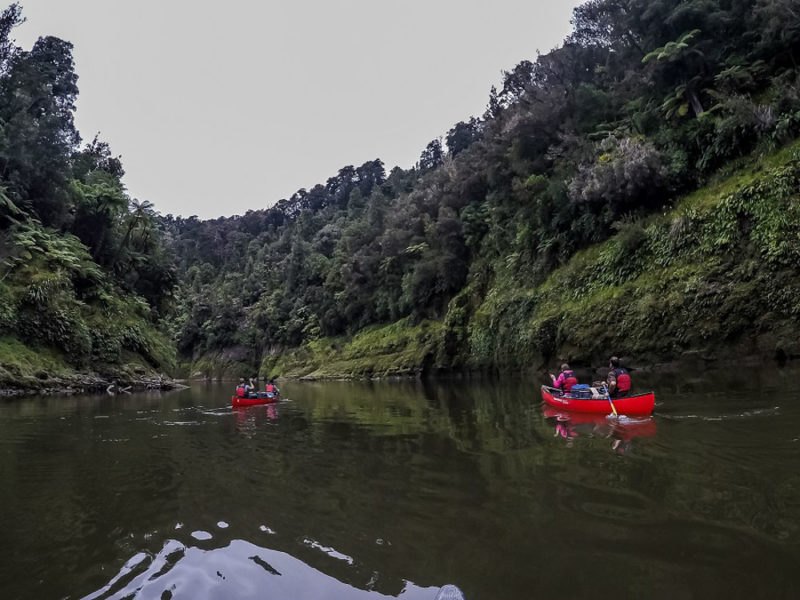 Whanganui River Adventures