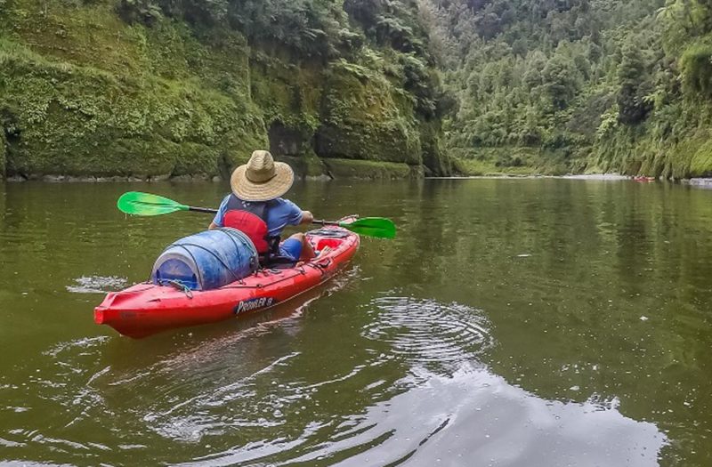 Whanganui River Journey