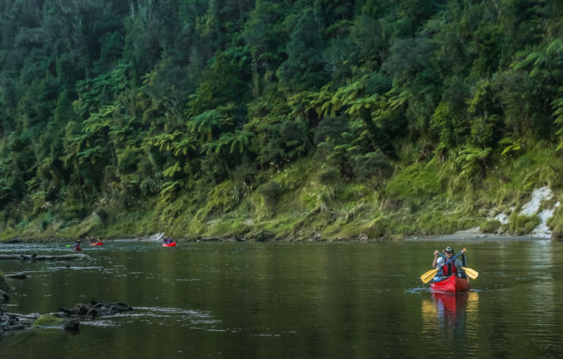 Whanganui River Journey: National Park