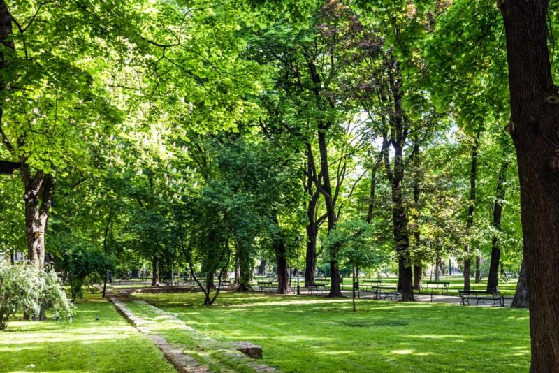 What to do in Krakow: Planty Park