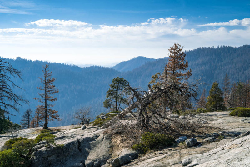 What to do in Sequoia National Park: Picnic at Beetle Rock