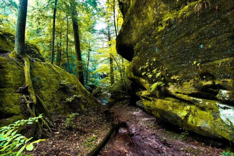 Alabama Things to do: Dismals Canyon