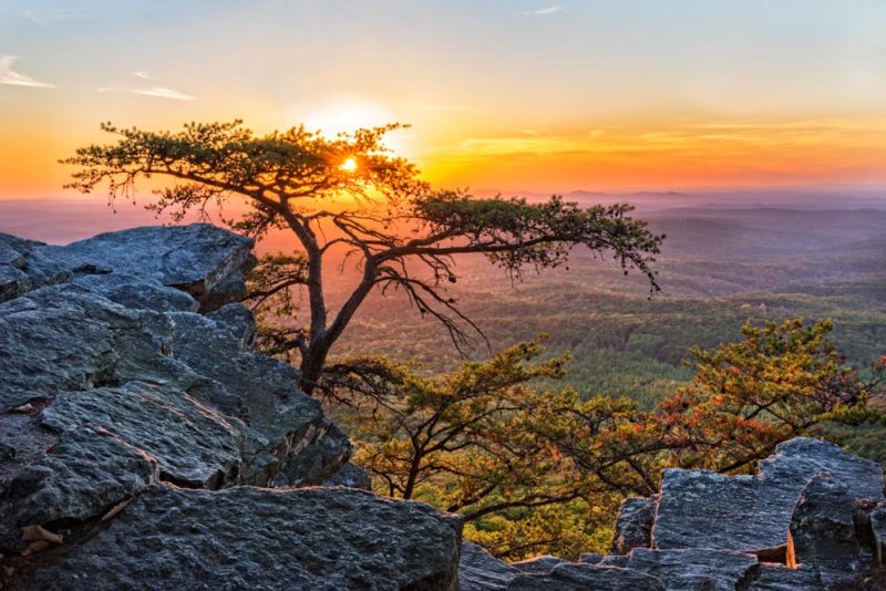 Best Things to do in Alabama: Hike to the Highest Point in Alabama