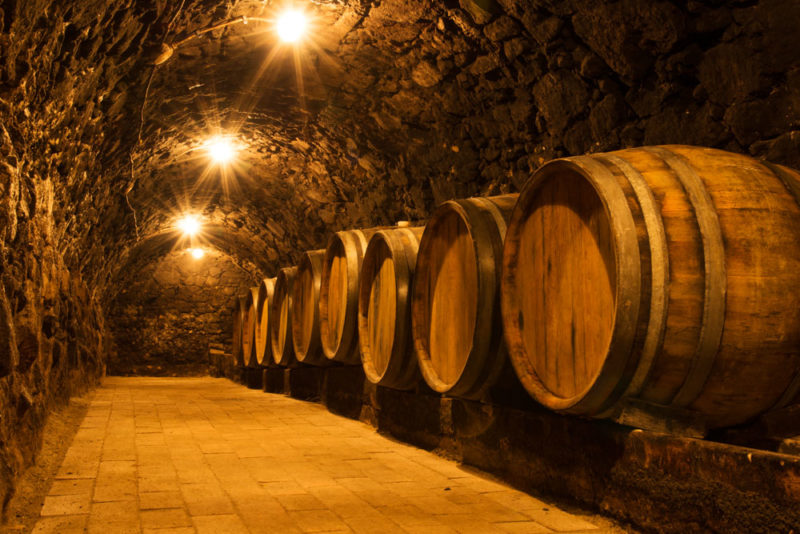 Best Things to do in Nuremberg: Go underground (and drink beer) in the Rock-Cut Cellars