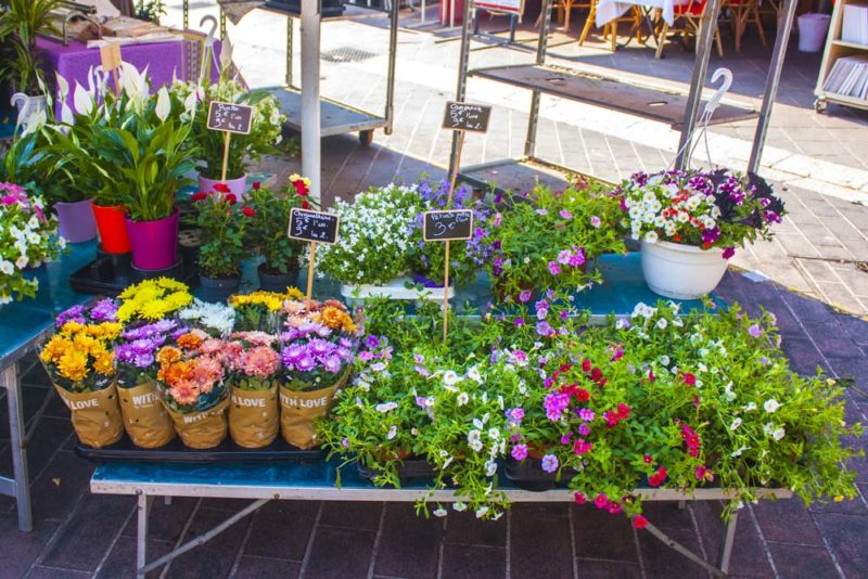 Cool Things to do in Nice: Shopping at Marché Aux Fleurs Cours Saleya