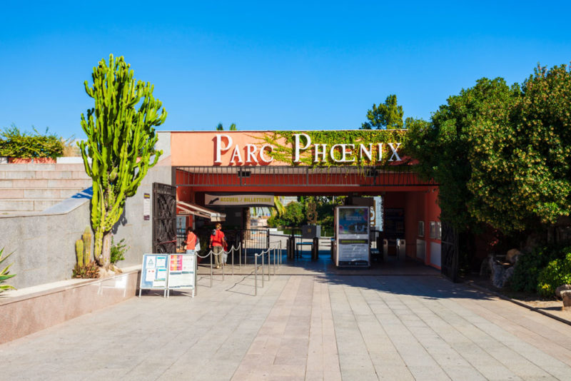 Cool Things to do in Nice: Tropical paradise at Parc Phoenix
