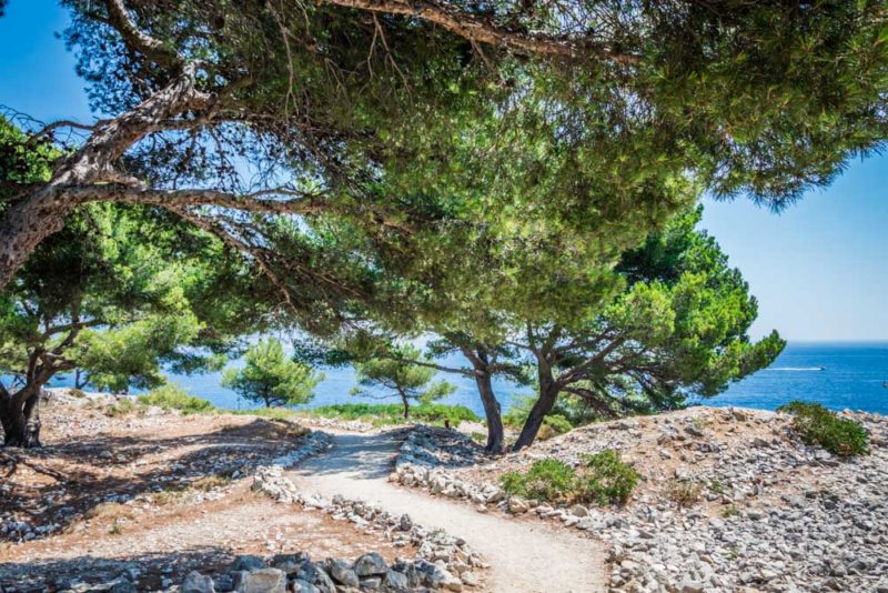 Cool Things to do in Provence: Sea views at the Calanques