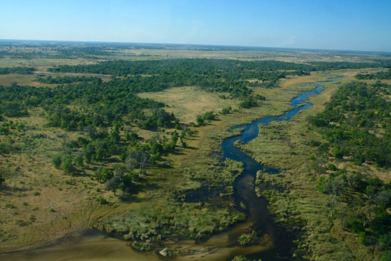 Okavango Delta: Safari