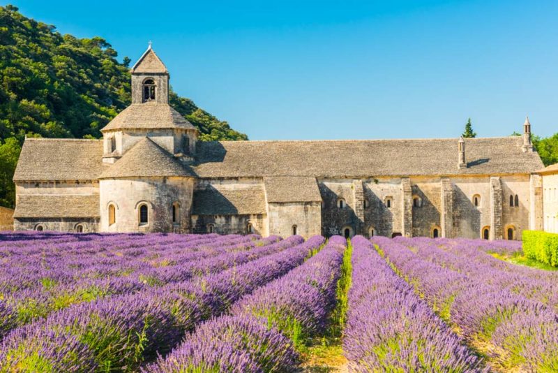 Provence Things to do: Senanque Abbey