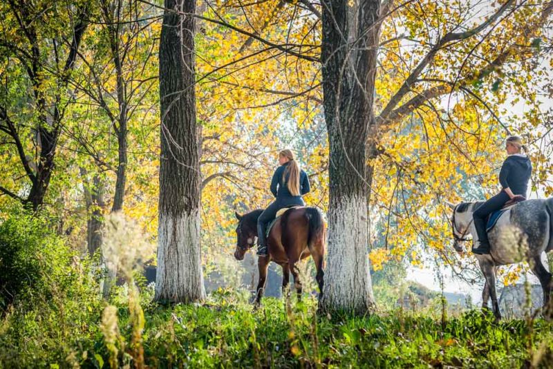 Rhode Island Bucket List: Horseback Riding at Goddard Memorial State Park