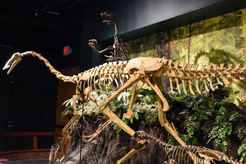What to do in Alabama: McWane Science Center