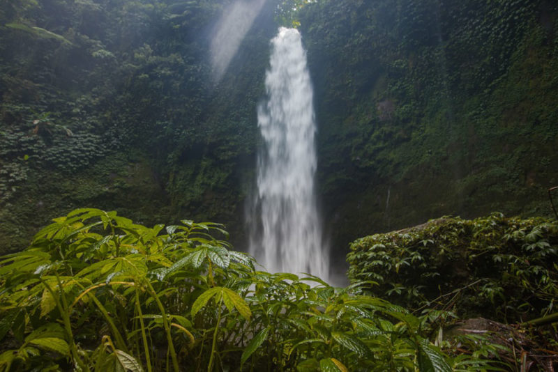 Best Bali Waterfalls: Nungnung