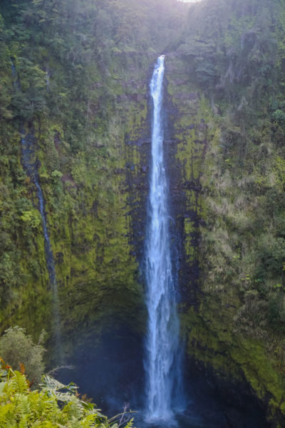 Best Things to do on the Big Island: Akaka Falls