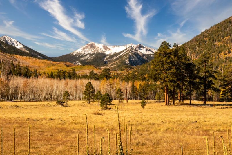 Cool Things to do in Flagstaff: Hike to Arizona’s Highest Point