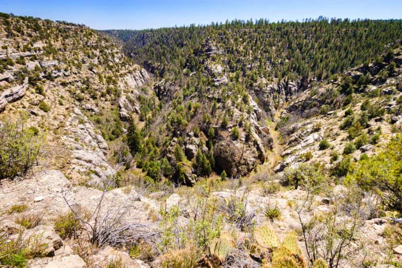 Cool Things to do in Flagstaff: Walnut Canyon National Monument