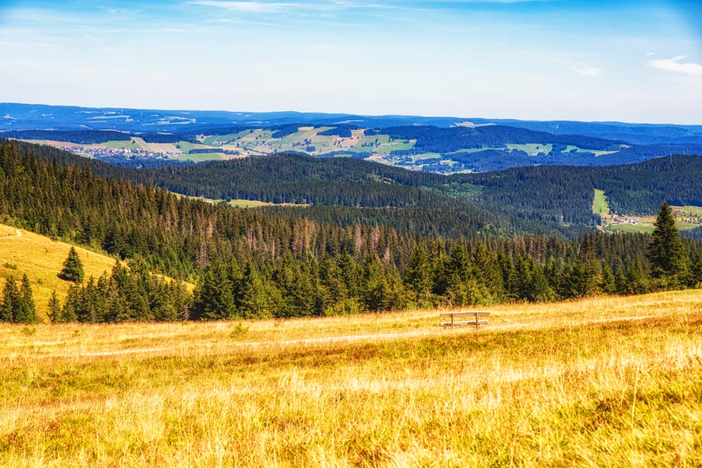 Cool Things to do in Germany: Black Forest National Park